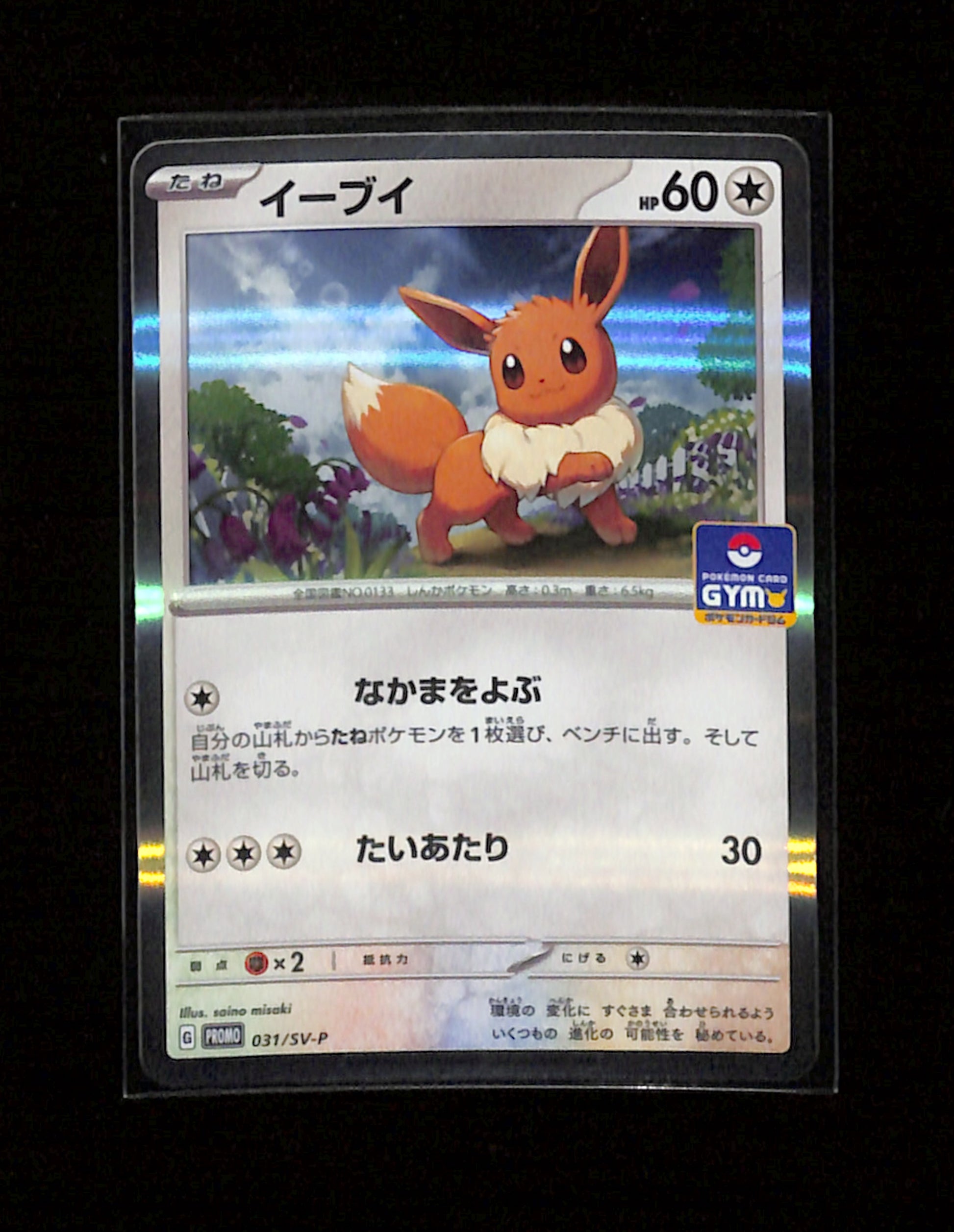 m-102 Eevee 031/SV-P Promo Straightaway Battle Participation Japanese