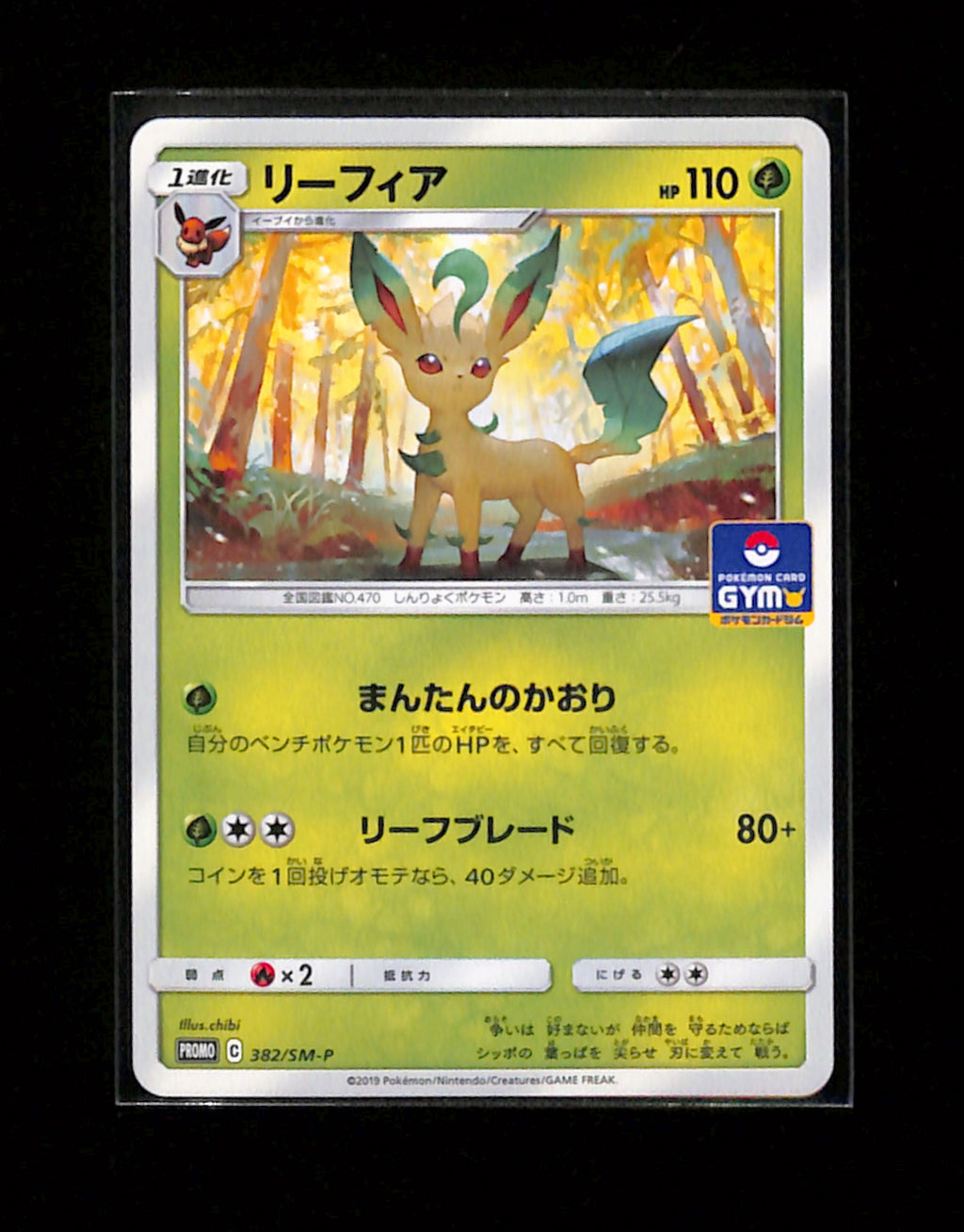 s-166 Leafeon Gym Promo 382/SM-P