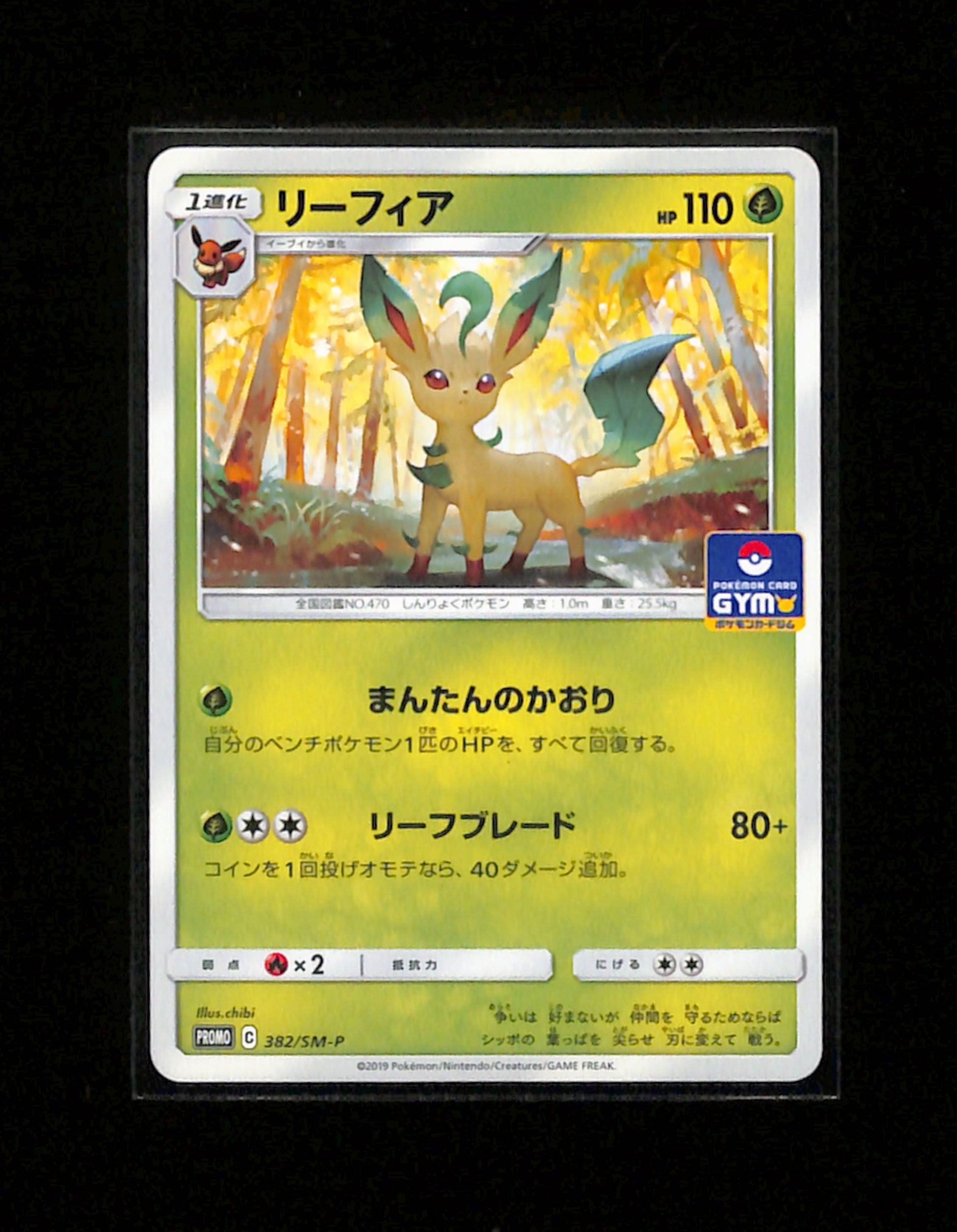 s-205 Leafeon Gym Promo 382/SM-P