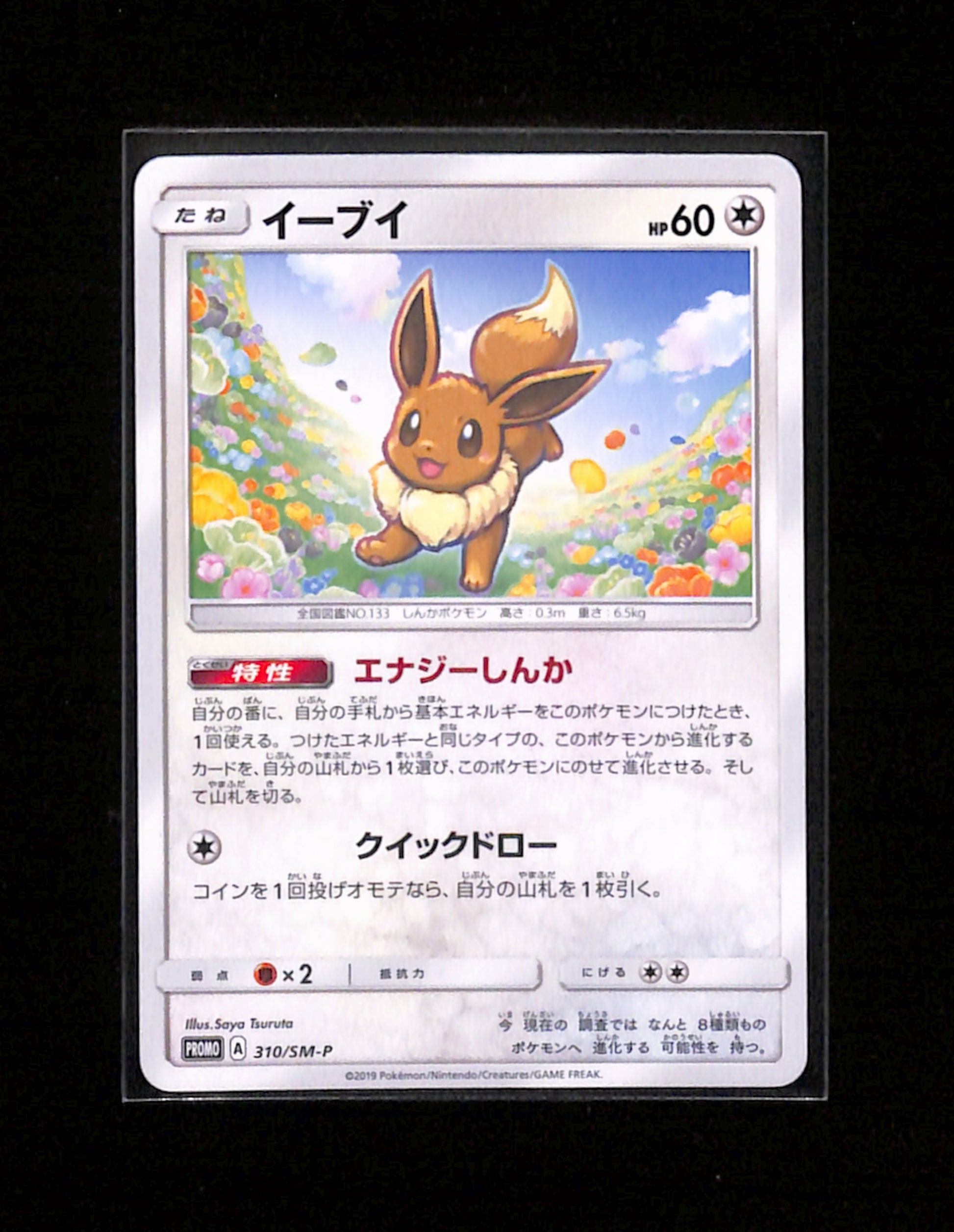 s-259 Eevee 310/SM-P Promo Sun & Moon Pokemon Japanese