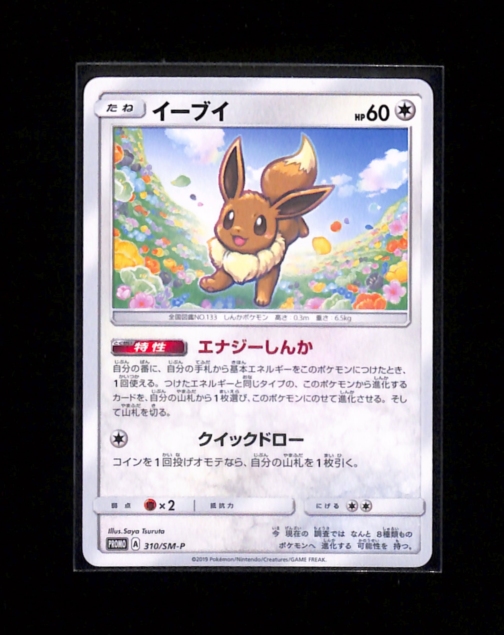 s-260 Eevee 310/SM-P Promo Sun & Moon Pokemon Japanese