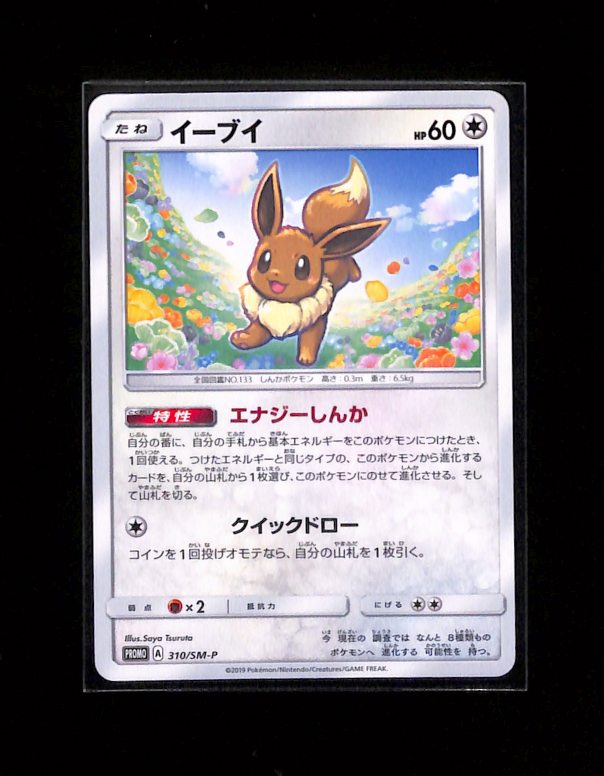 s-261 Eevee 310/SM-P Promo Sun & Moon Pokemon Japanese