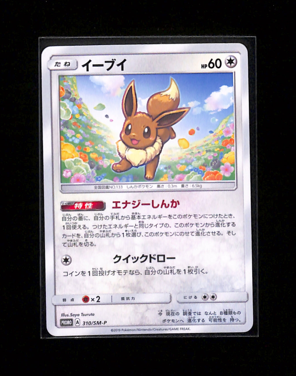 s-262 Eevee 310/SM-P Promo Sun & Moon Pokemon Japanese