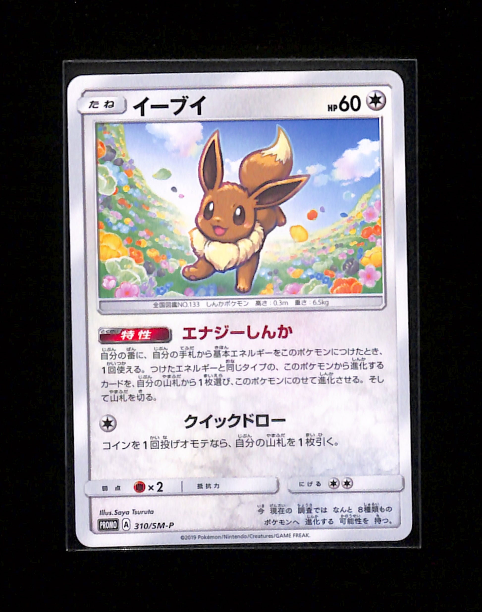 s-262 Eevee 310/SM-P Promo Sun & Moon Pokemon Japanese