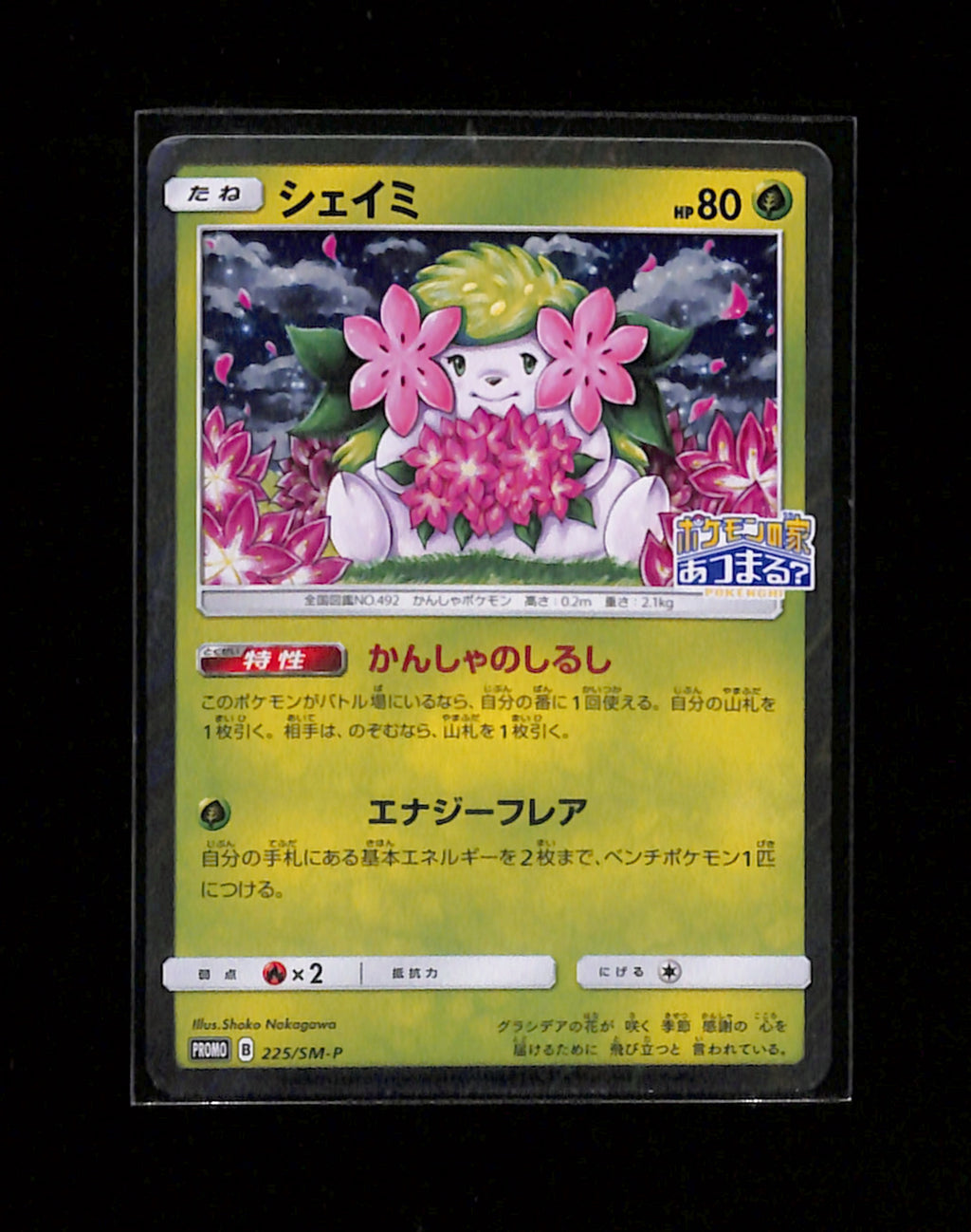 s-275 Shaymin 225/SM-P Promo Sun & Moon Pokemon Japanese
