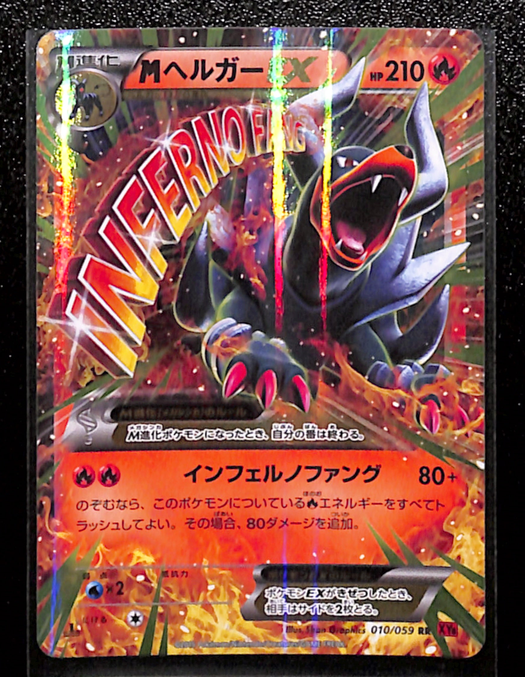 v-16-M Houndoom EX 010/059 XY8 1st Edition Japanese