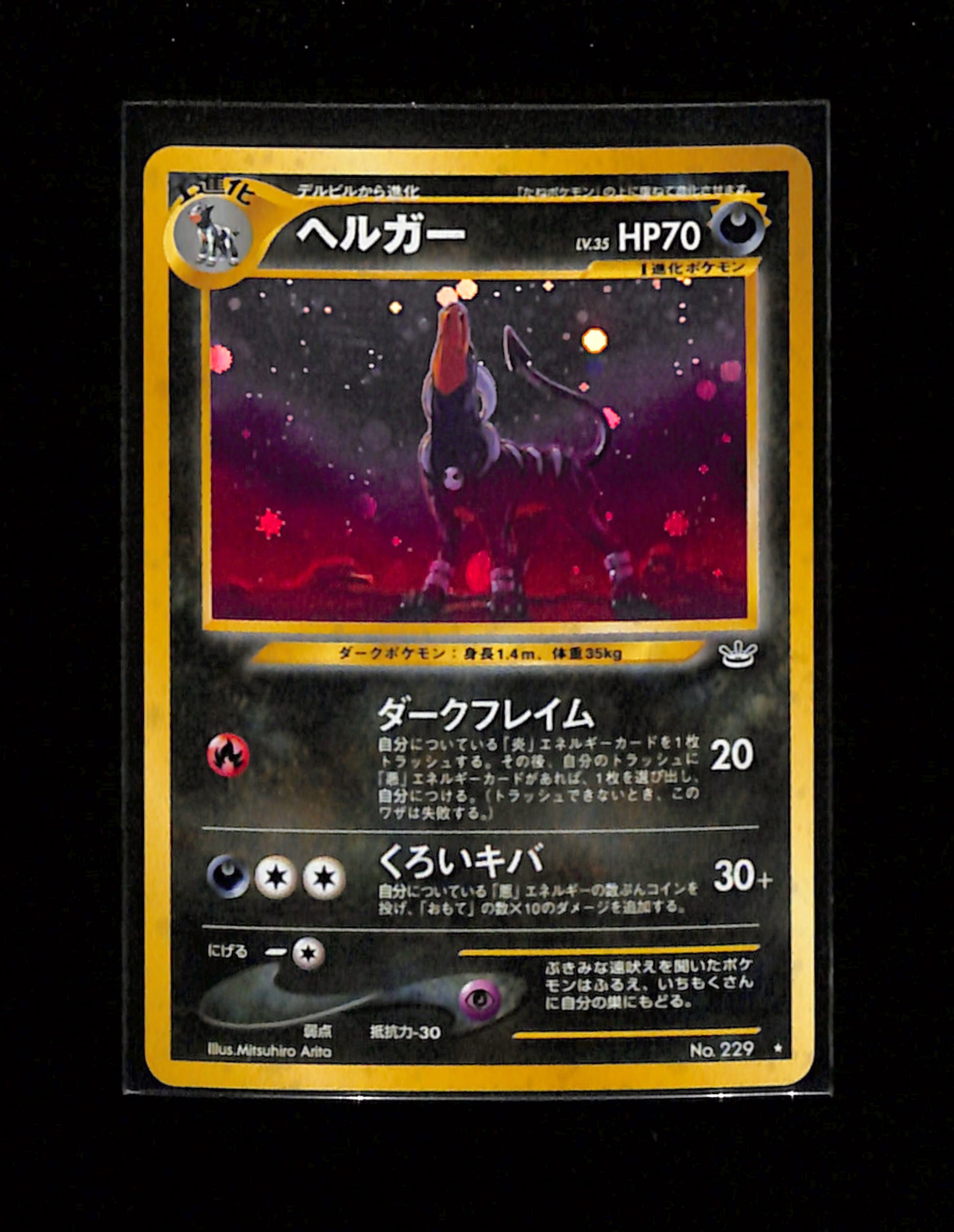 v-316 Houndoom No.229 Pokemon 2000 Japanese Neo Revelation Spoon TCG v-316 Houndoom No.229 Pokemon 2000 Japanese Neo Revelation Spoon TCG