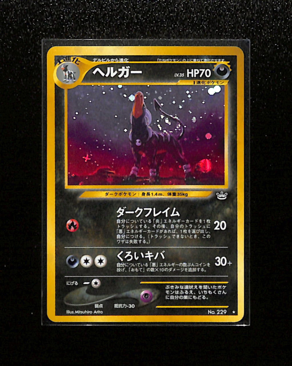 v-374 Houndoom No.229 Pokemon 2000 Japanese Neo Revelation
