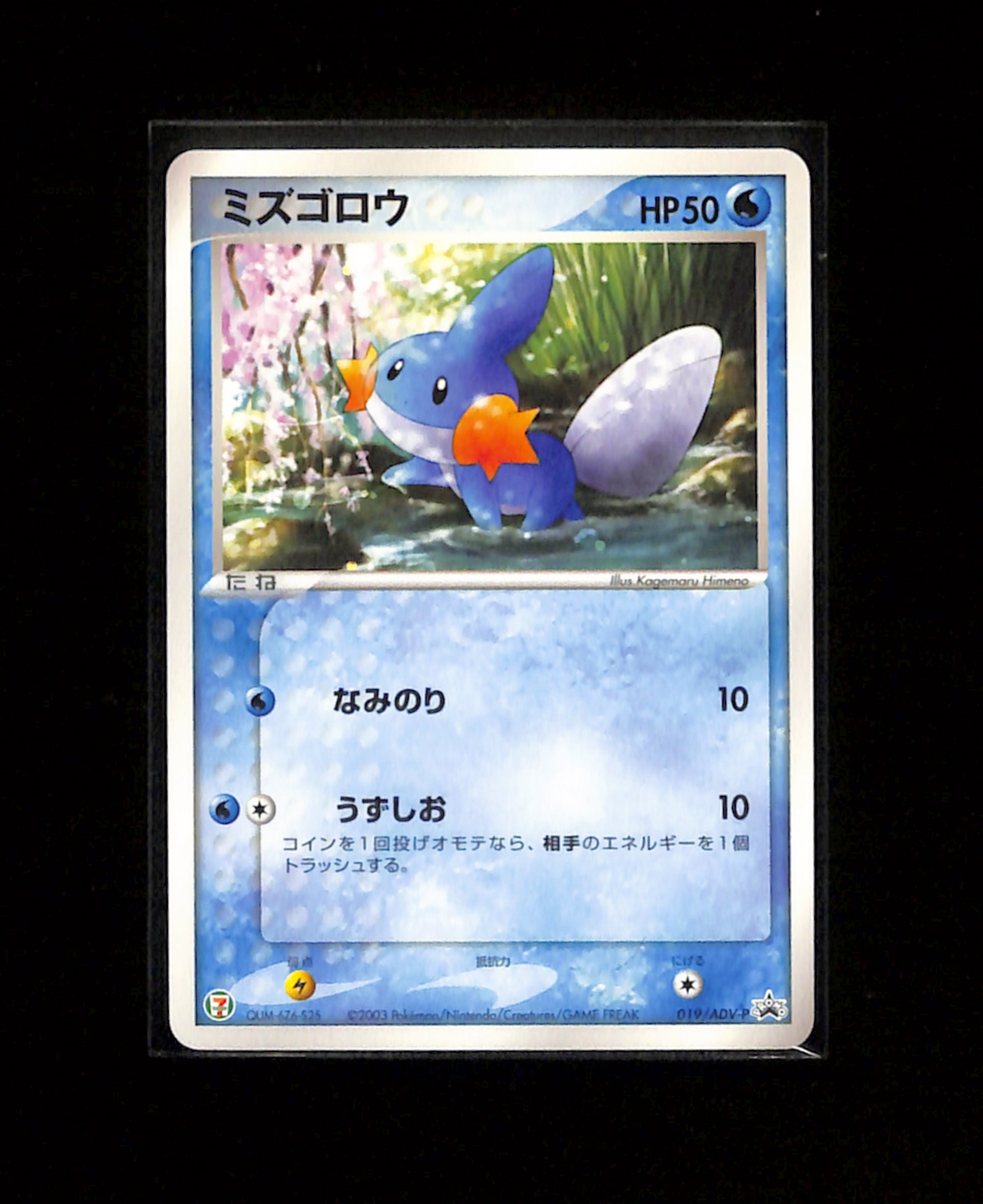v-443 Mudkip 019/ADV-P 7-11 Fair Campaign Promo Pokemon Card Japanese
