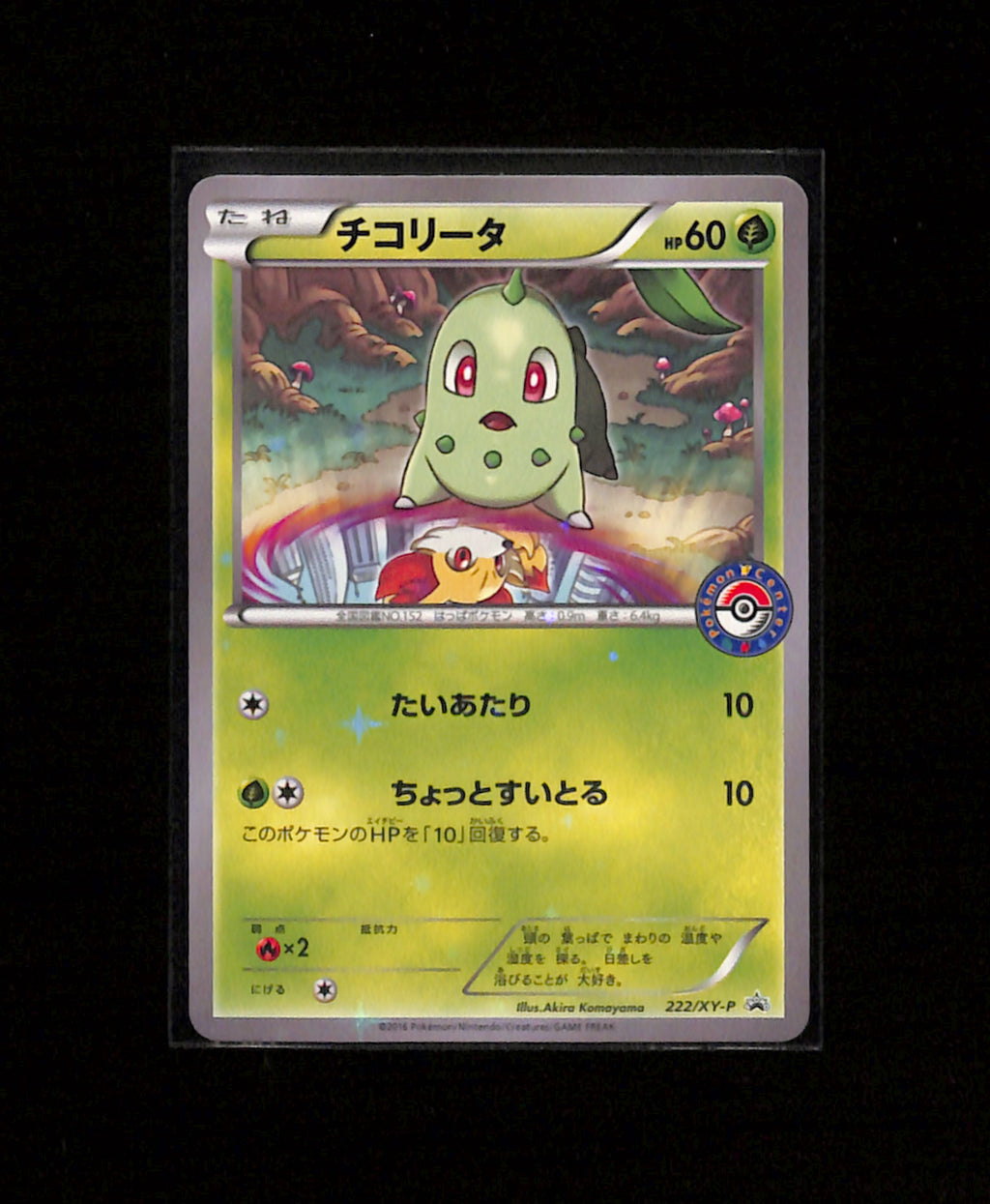 v-462 Chikorita 222/XY-P 2016 Pokemon Center Black Star Promo Pokemon Japanese