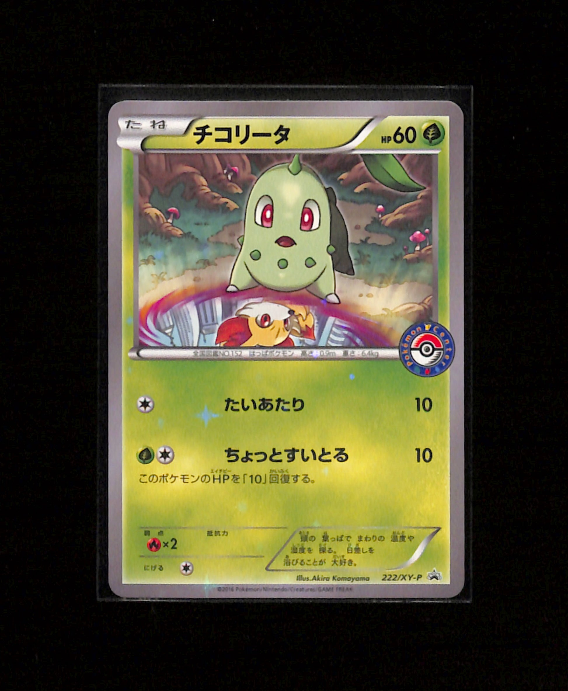 v-462 Chikorita 222/XY-P 2016 Pokemon Center Black Star Promo Pokemon Japanese