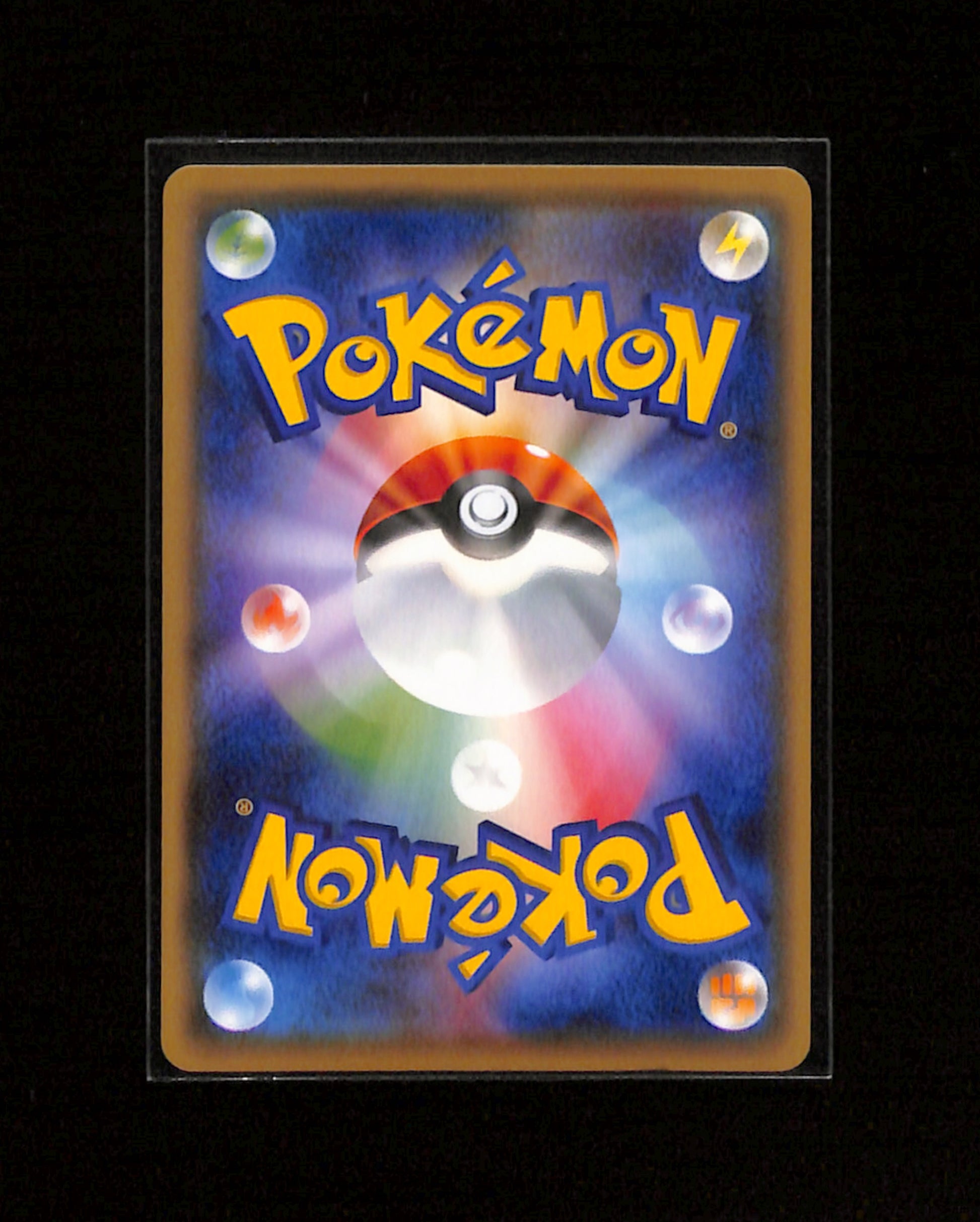 v-462 Chikorita 222/XY-P 2016 Pokemon Center Black Star Promo Pokemon Japanese
